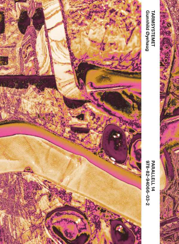 Parallell 14 - Gunnhild Øyehaug
