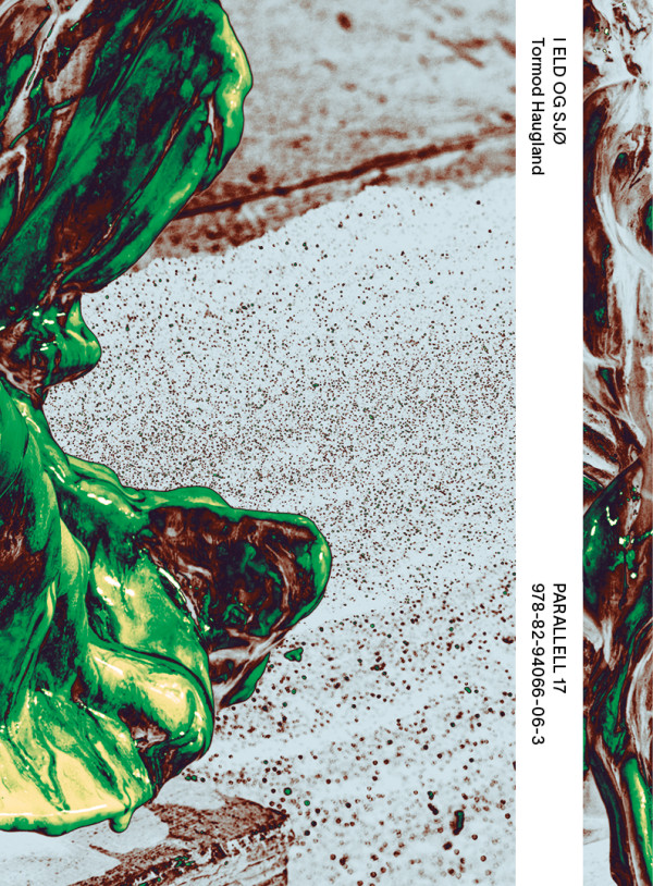 Parallell 17 - Tormod Haugland