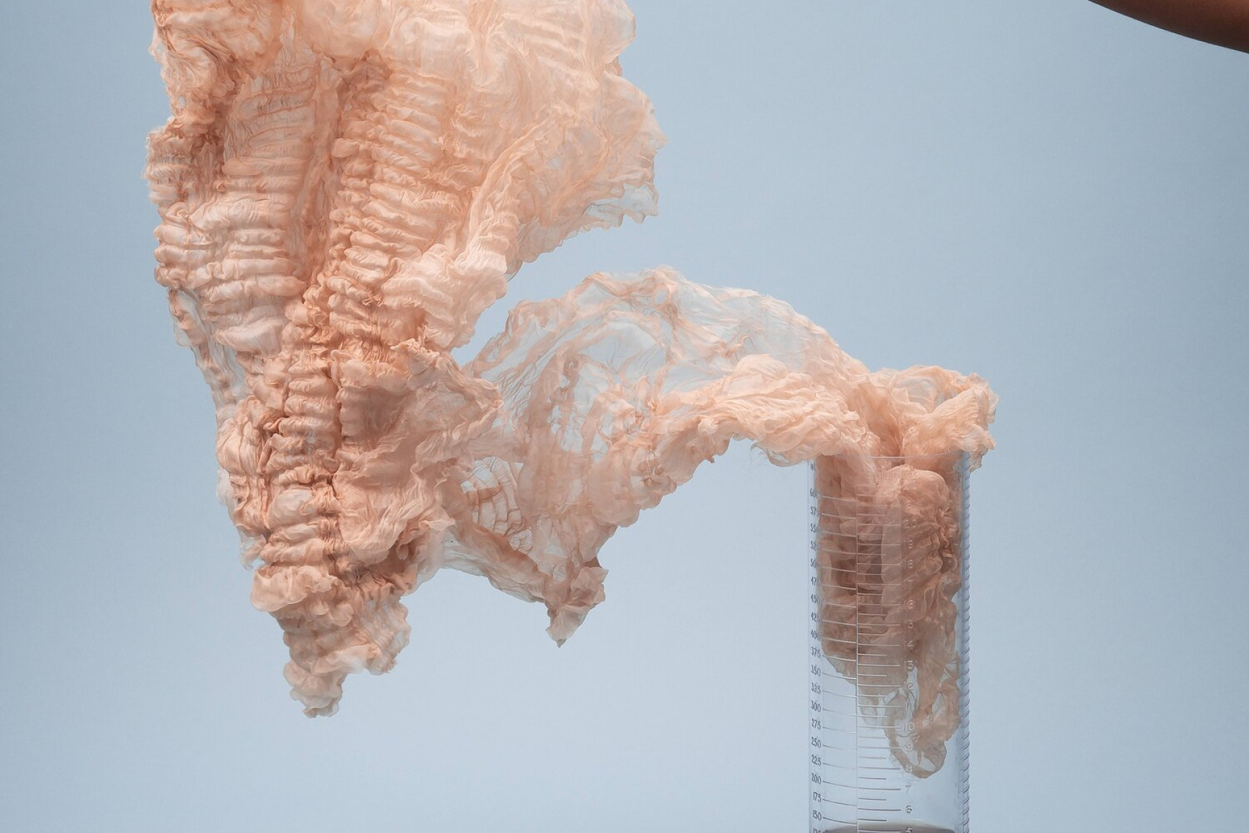 Peaches and Cream – Sarah Vajira Lindstrøm