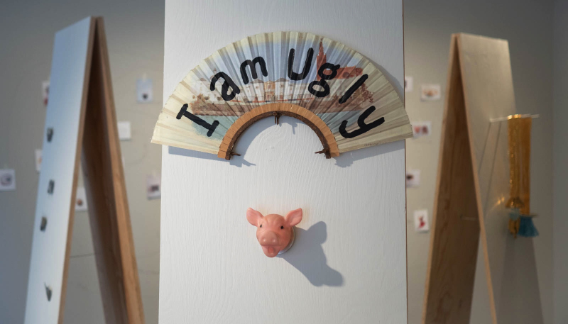 Ugly Beautiful · Beautiful Ugly – Extranalities