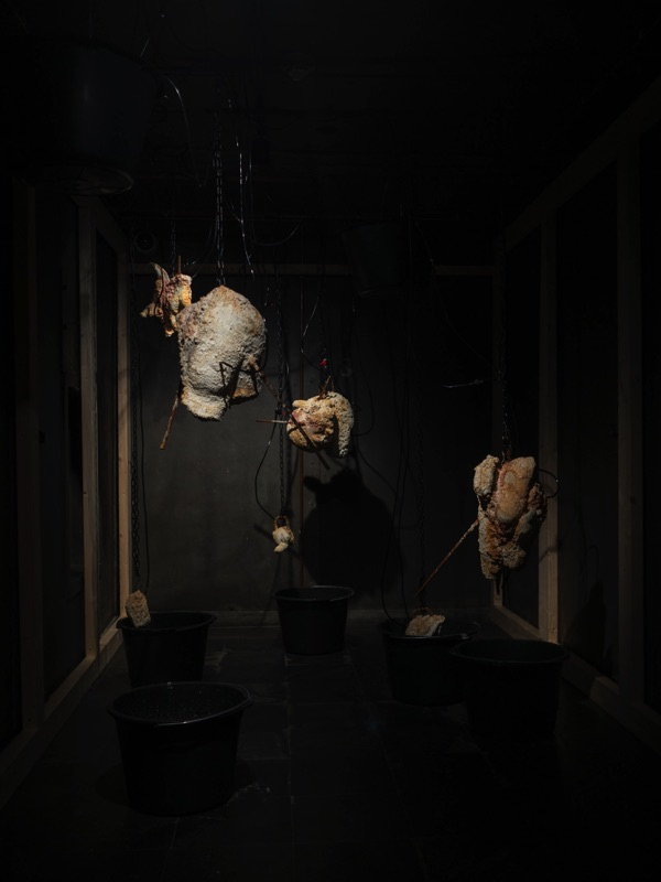 Don't Worry, You Don't Have to Be Happy – Guttorm Glomsås