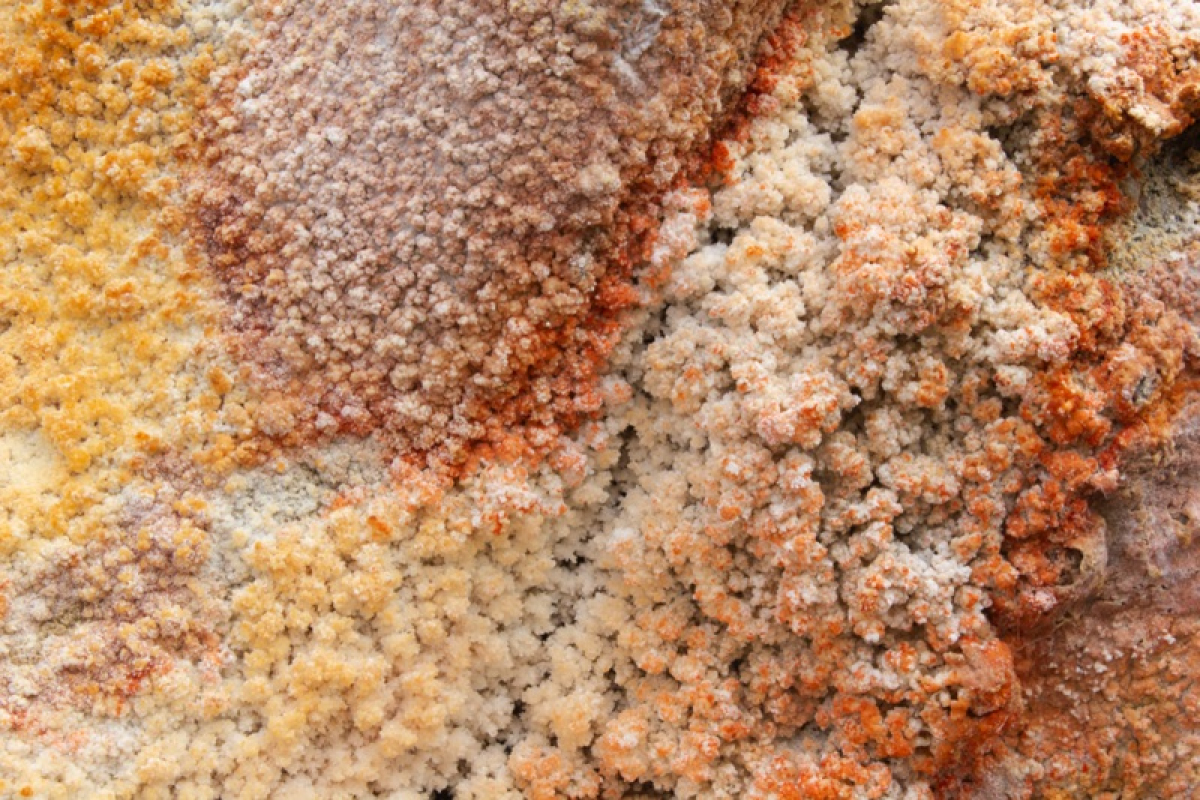 Don't Worry, You Don't Have to Be Happy – Guttorm Glomsås