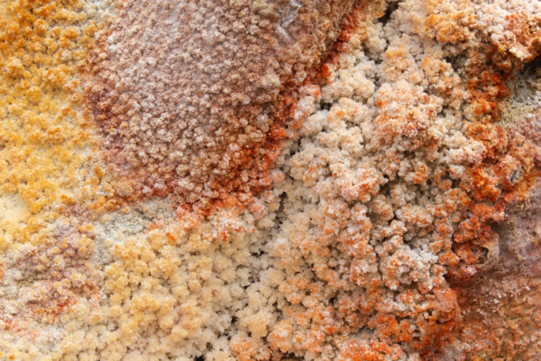 Don't Worry, You Don't Have to Be Happy – Guttorm Glomsås