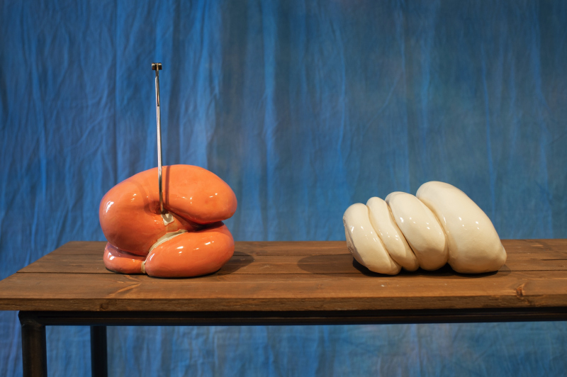 Normal behavior, behave normal – Erika Stöckel