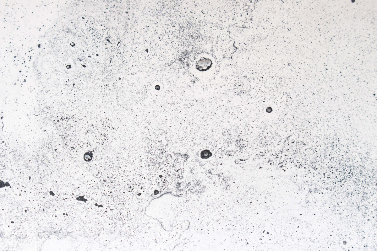 PRODROME – Eleonore Griveau