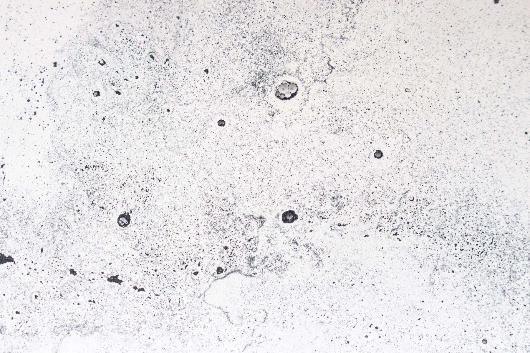 PRODROME – Eleonore Griveau