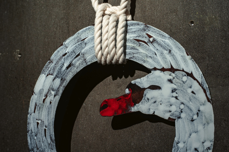 Cygnus Purus – Camilla Luihn