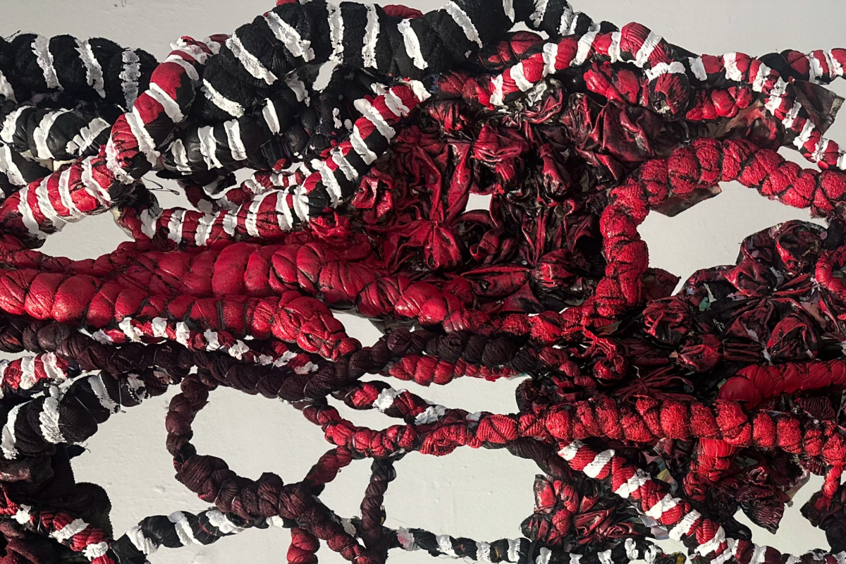 Burdened Skins – Sampson Addae