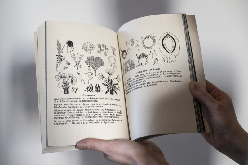 Tempeltrepassasjen – Tina Kryhlmann